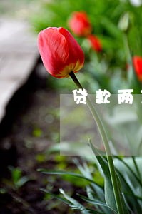 贷款两万 逾期七年 贷款两万 逾期七年